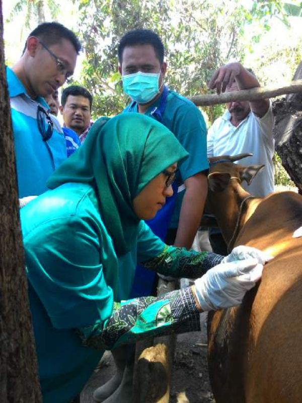 Pelatihan Bedah Cesar