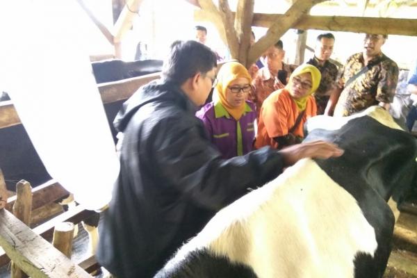 Pelatihan Penanganan LDA