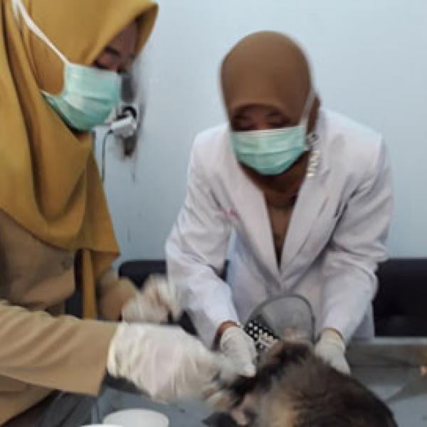 Pelayanan Kesehatan Hewan Kesayangan