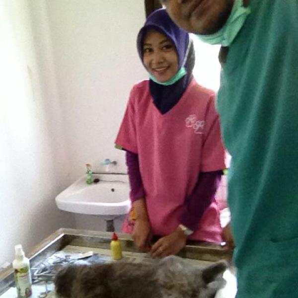 Pelayanan Klinik
