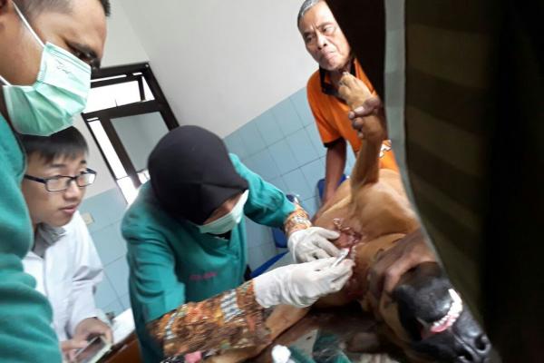 Pelayanan Operasi